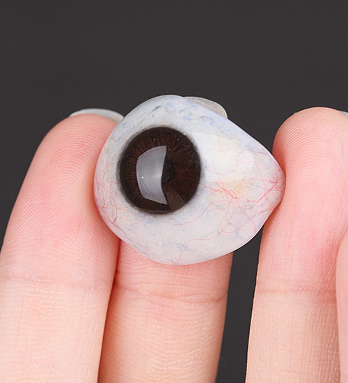 QUESTIONS & ANSWERS ABOUT 3D PLUS PROSTHETIC EYES