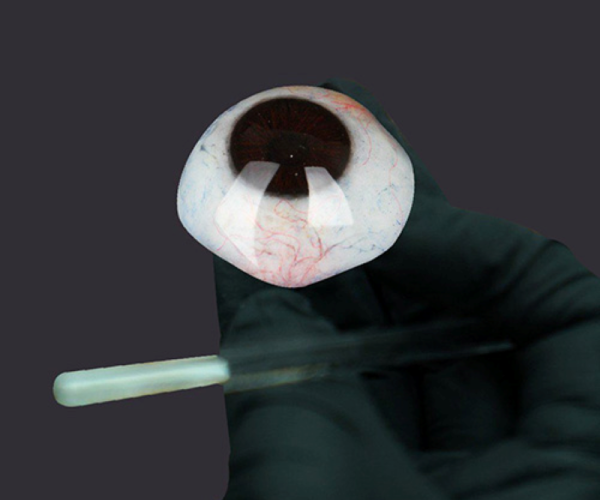 Mắt giả công nghệ cao - mắt giả 3D sống động như mắt thật